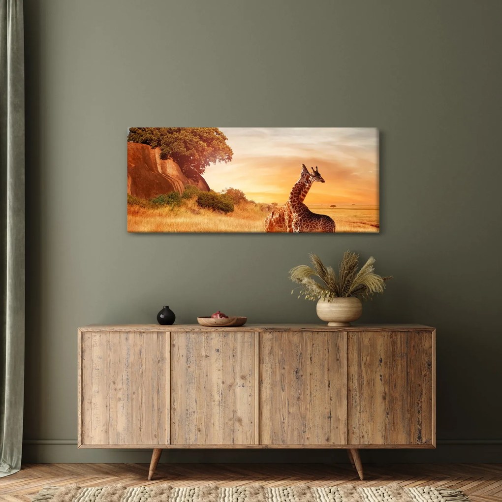 Tablou Girafe în Africa (120x50 cm)