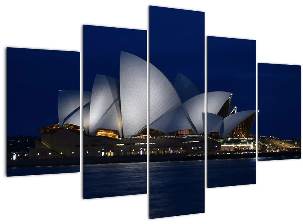Tabloul Sydney nocturn (150x105 cm)