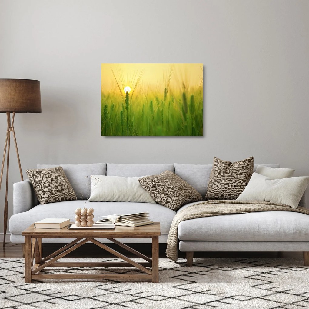 Tablou pe sticlă - Câmp cu cereale (70x50 cm)