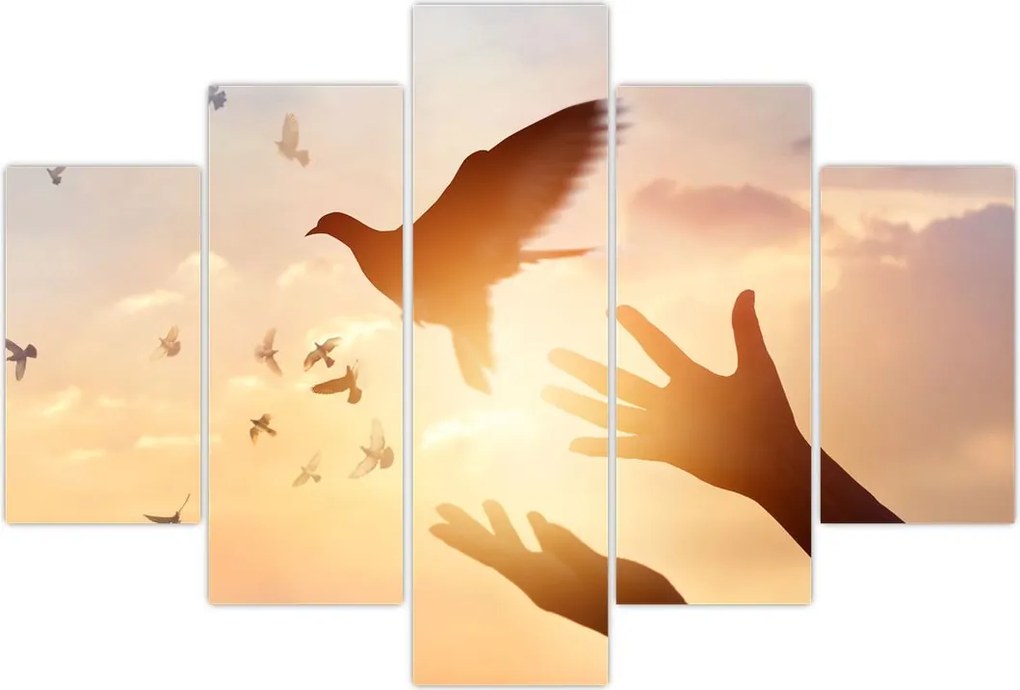 Tablou - Porumbițo, zboară! (150x105 cm)