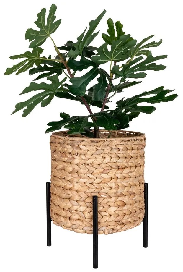 Ghiveci din zambilă de apă ø 24 cm Antas – House Nordic