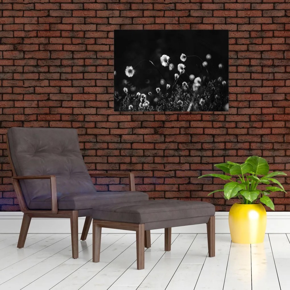 Tablou - Pajiște cu iarbă de cozonac N⁰1 (70x50 cm)