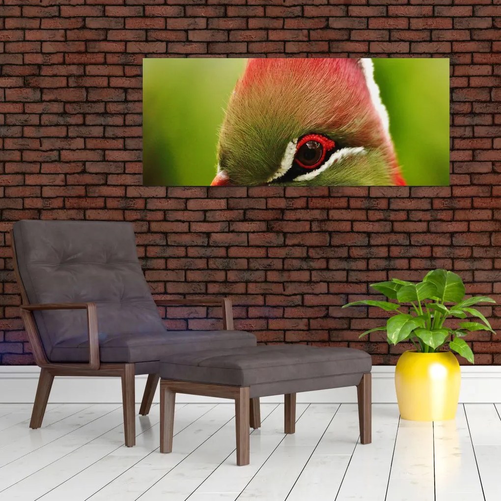 Tablou cu pasărea colorată (120x50 cm)