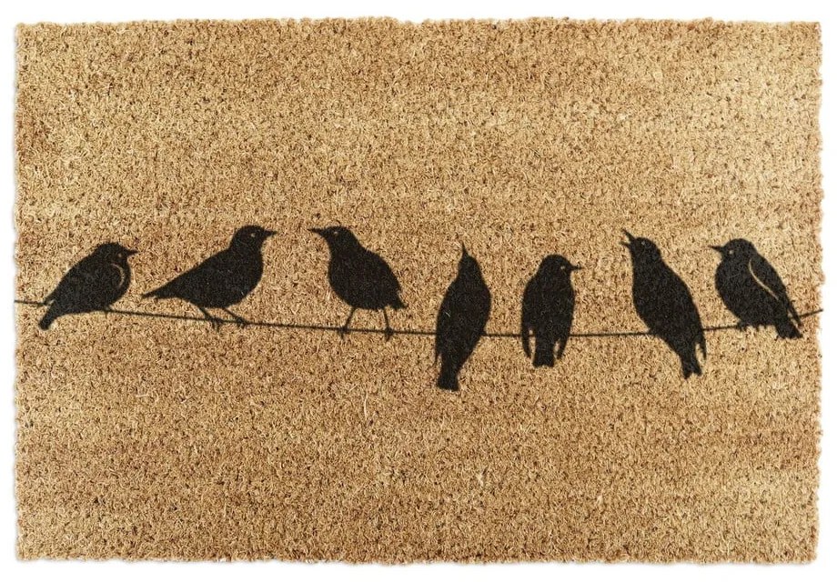 Covoraș de intrare din fibre de nucă de cocos 40x60 cm Birds On a Wire – Artsy Doormats