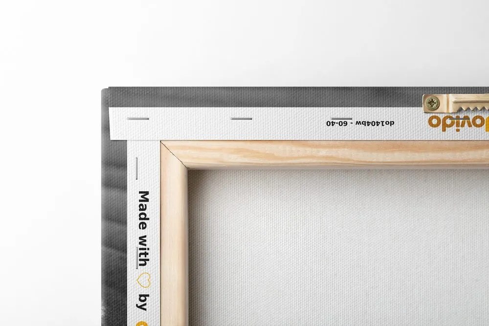 Tablou piatră relaxantă în design alb-negru