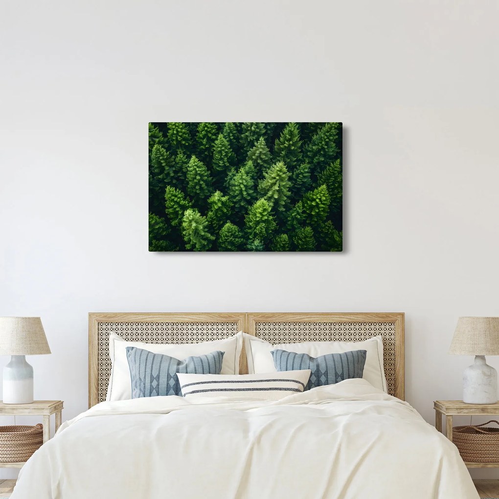 Tablou - Pădure (90x60 cm)