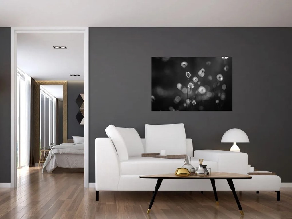 Tablou - Iarba de bumbac în pajiște (90x60 cm)