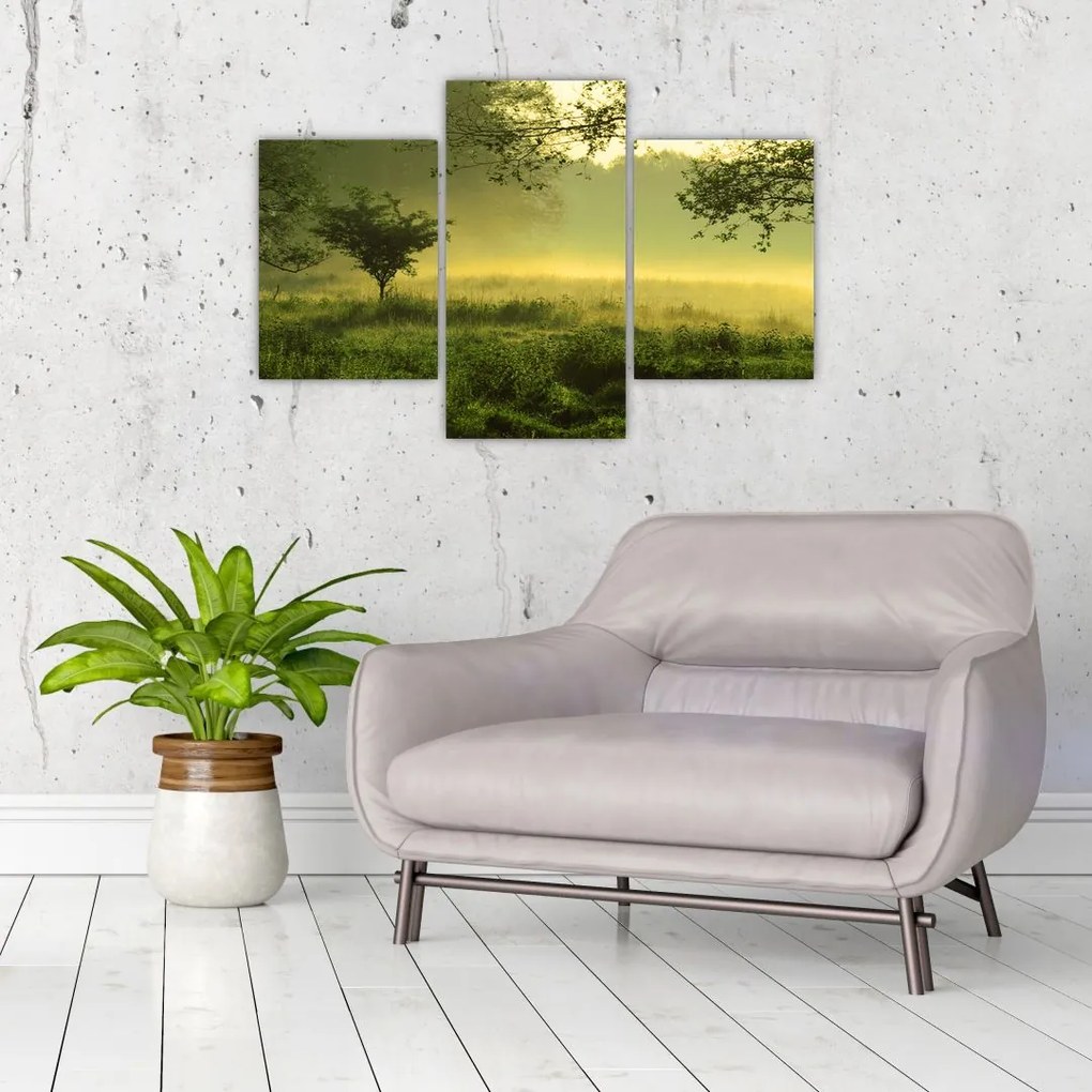 Tablou - Pădurea trezită (90x60 cm)