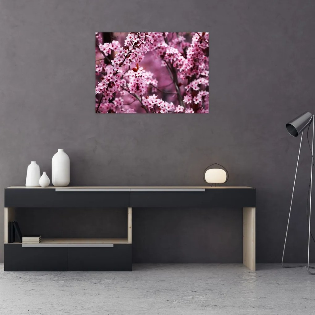 Tablou pe sticlă - Sakura roz (70x50 cm)