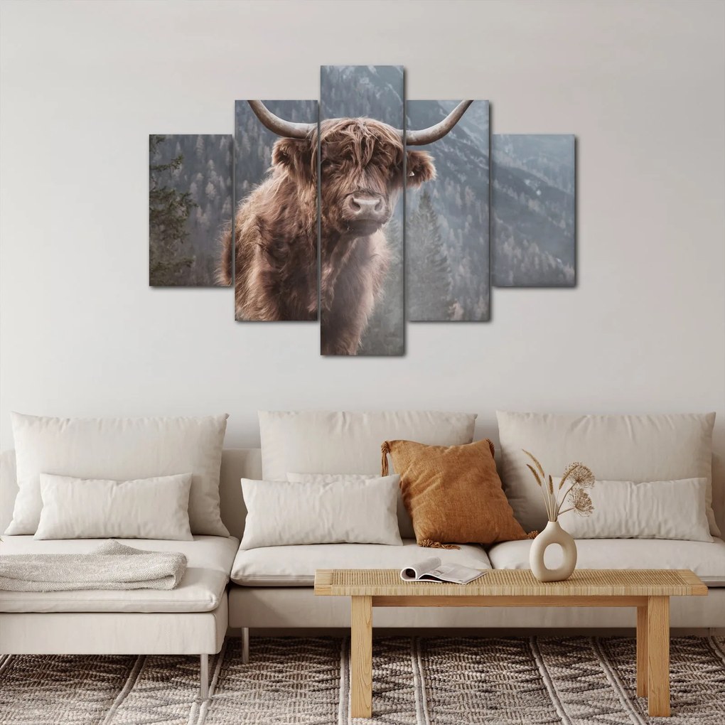 Tablou - Vaca Highlander (150x105 cm)