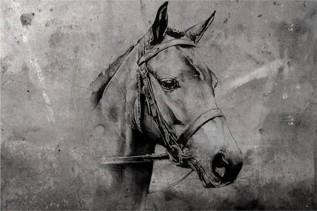 Tablou - Portret de cal (90x60 cm)