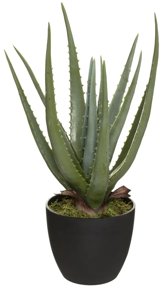 Aloe Vera artificiala in ghiveci, inaltime 44 cm