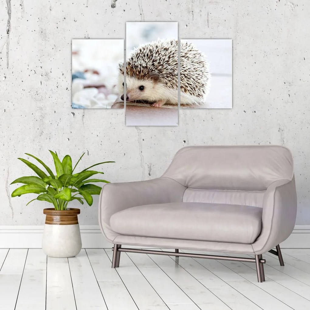 Tablou cu arici (90x60 cm)