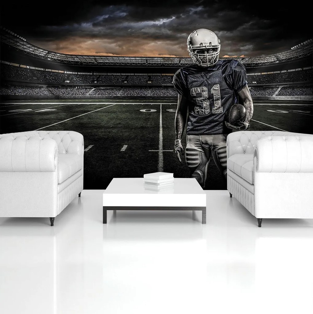 Fototapet - Stadion de Rugby (152,5x104 cm)