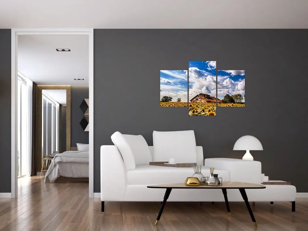 Tablou cu câmp de floarea soarelui (90x60 cm)