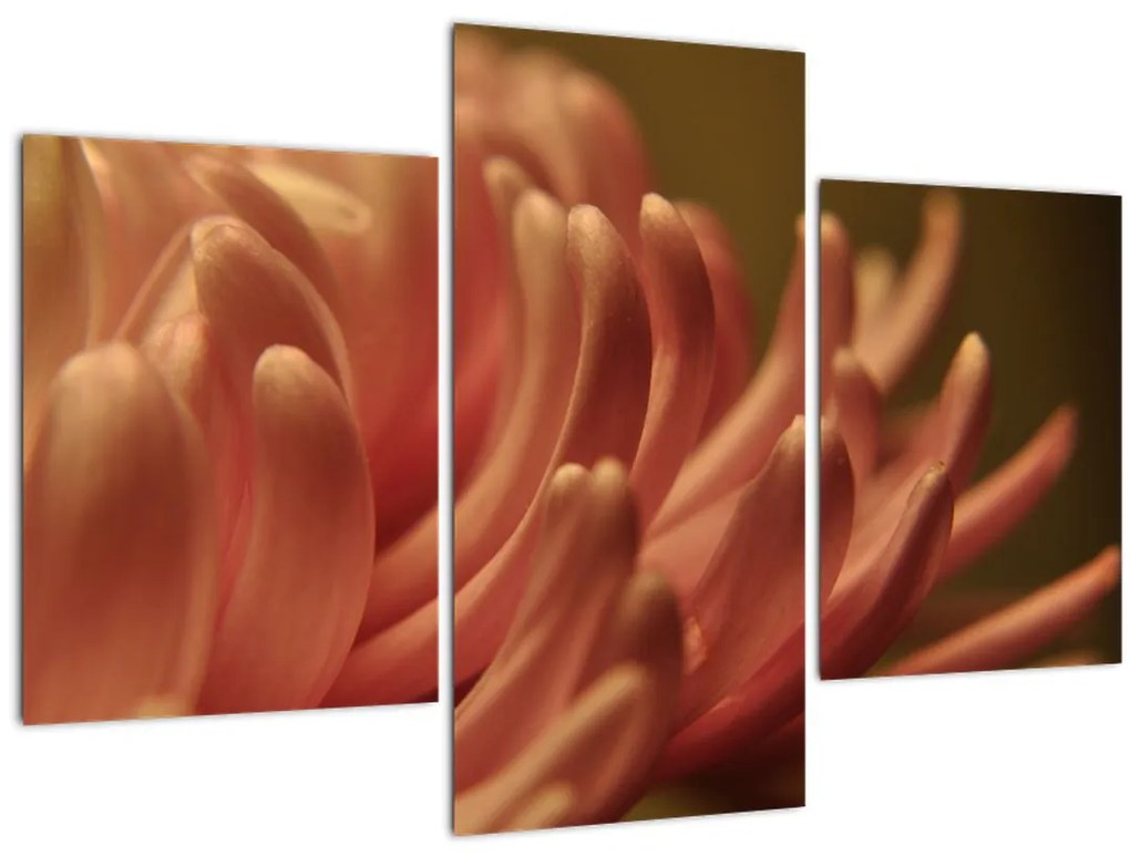 Tablou cu detailu florii (90x60 cm)