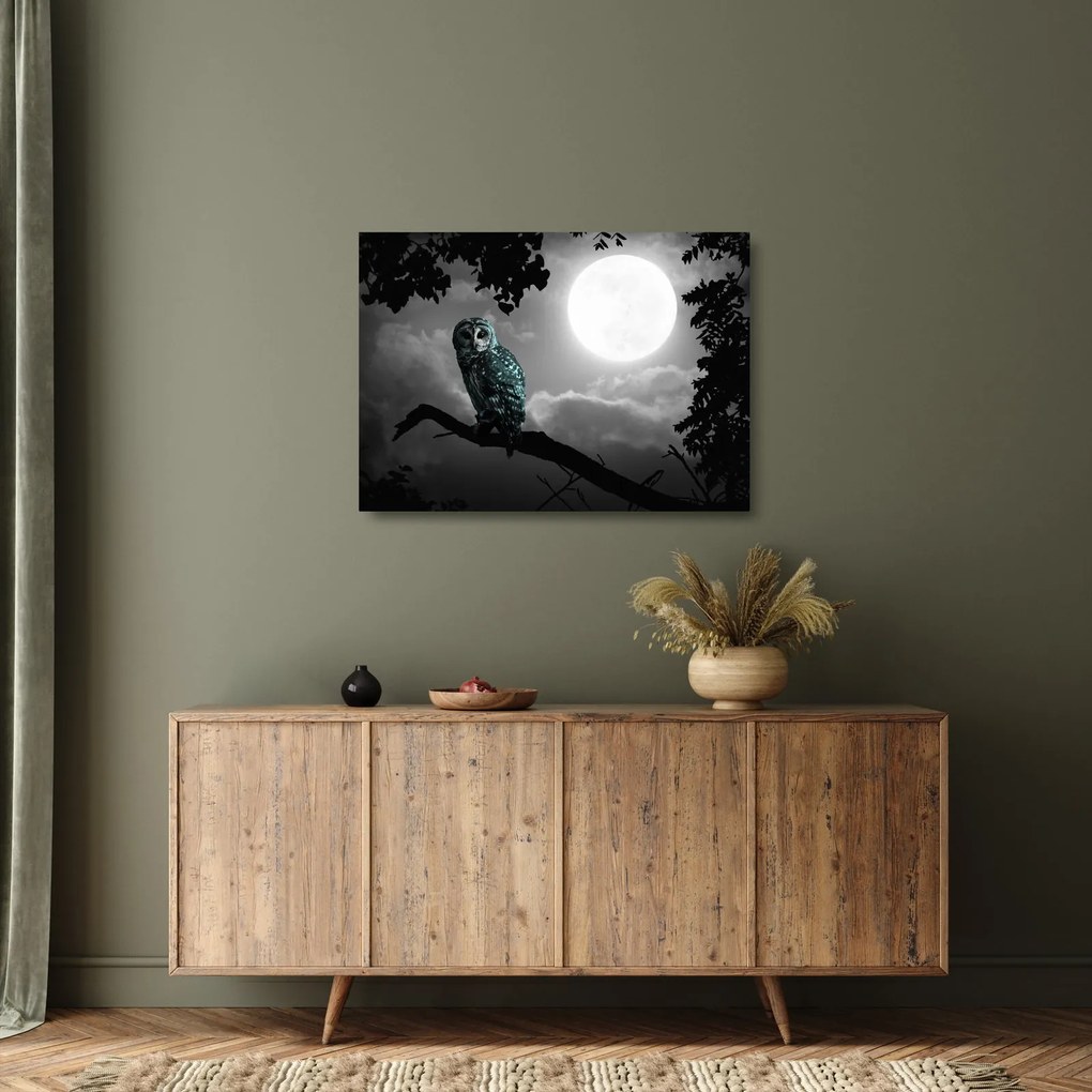 Tablou pe sticlă - Bufniță de noapte, albastru (70x50 cm)