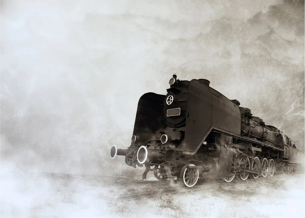 Tablou - Tren în ceață (70x50 cm)