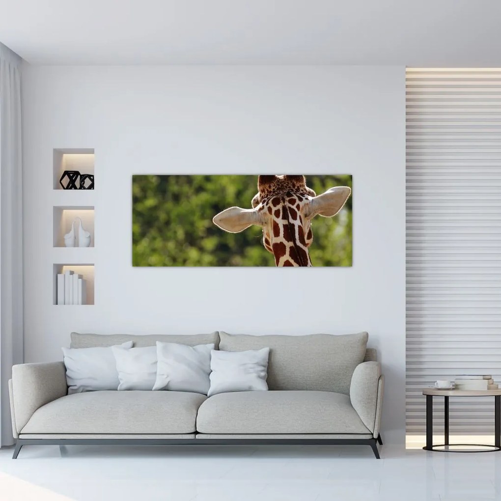 Tablou cu girafă din spate (120x50 cm)