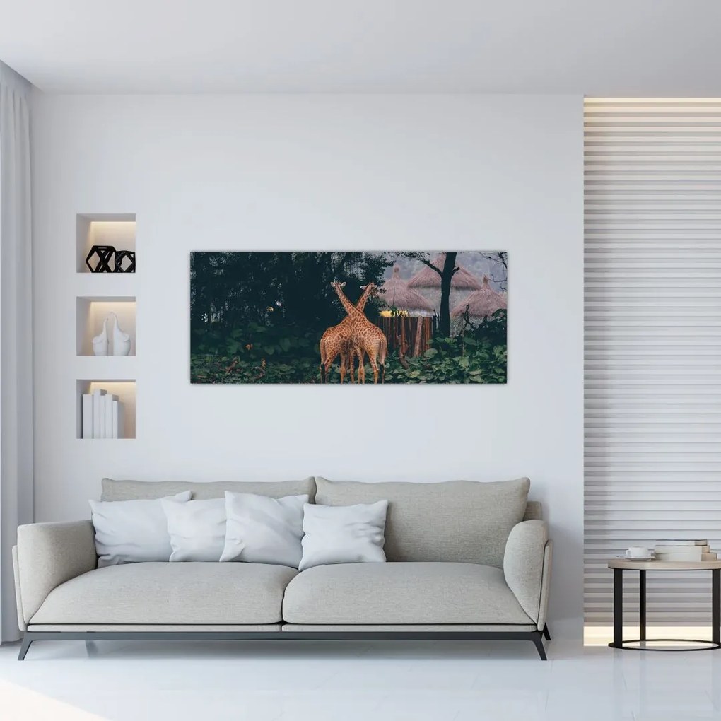 Tablou cu două girafe (120x50 cm)