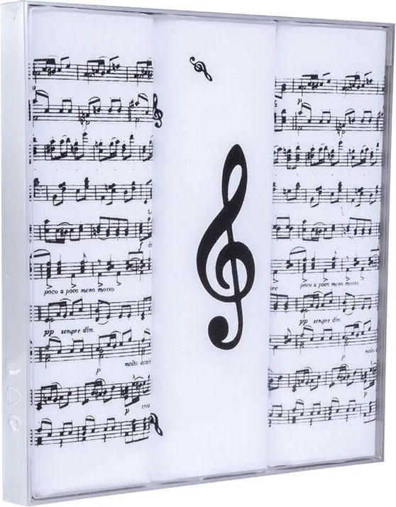 ETEX Batiste de bărbaţi cu imprimeu NOTE muzicale, set 3 buc