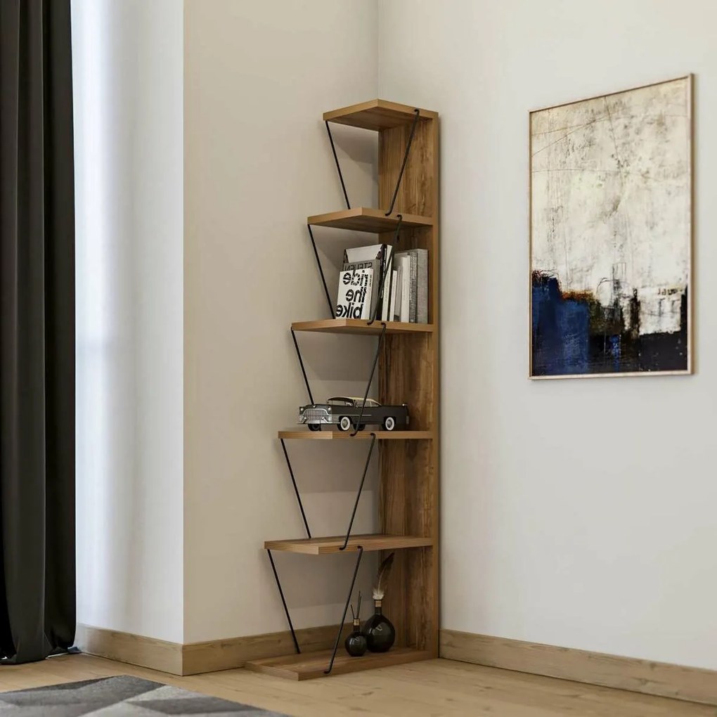 Bibliotecă Tlos Pine