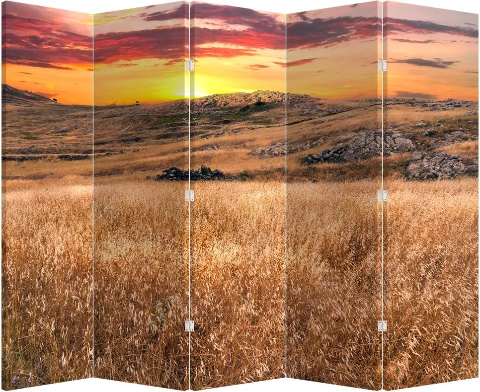 Paravan - Câmp (210x170 cm)