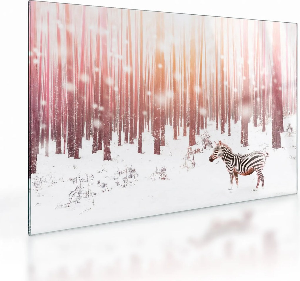 Tablou pe sticlă - Zebra în pădurea înzăpezită (70x50 cm)