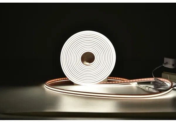 Rabalux 79021 - Bandă LED RGBW dimabilă STRIP LED/21W/230V 5 m IP67 + DO