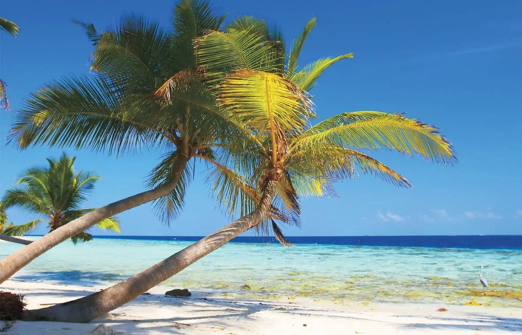 Fototapet - Plaja tropică (152,5x104 cm)