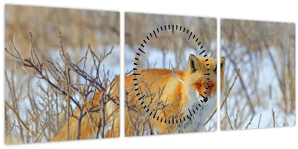Tablou - Vulpe (cu ceas) (90x30 cm)