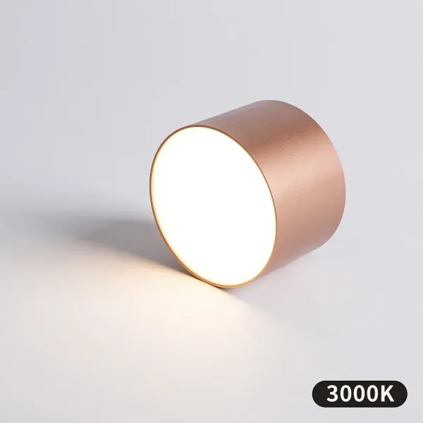 BRILAGI - Plafonieră de exterior FORIS LED/9W/230V Ø 9 cm bronz IP44