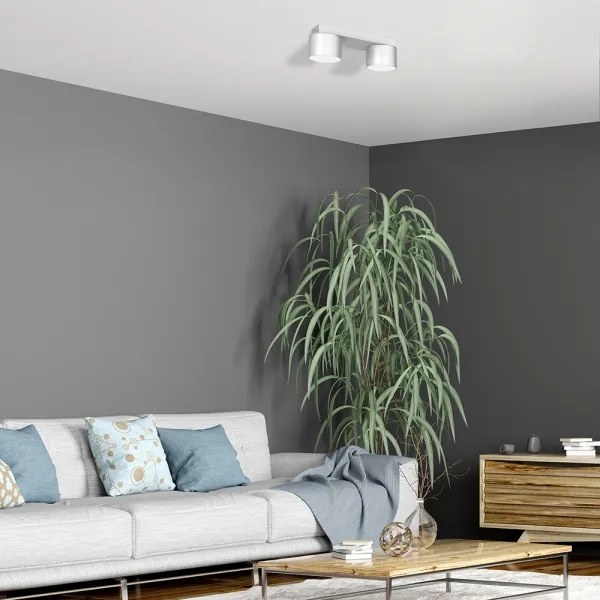 Plafonieră DIXIE 2xGX53/11W/230V albă