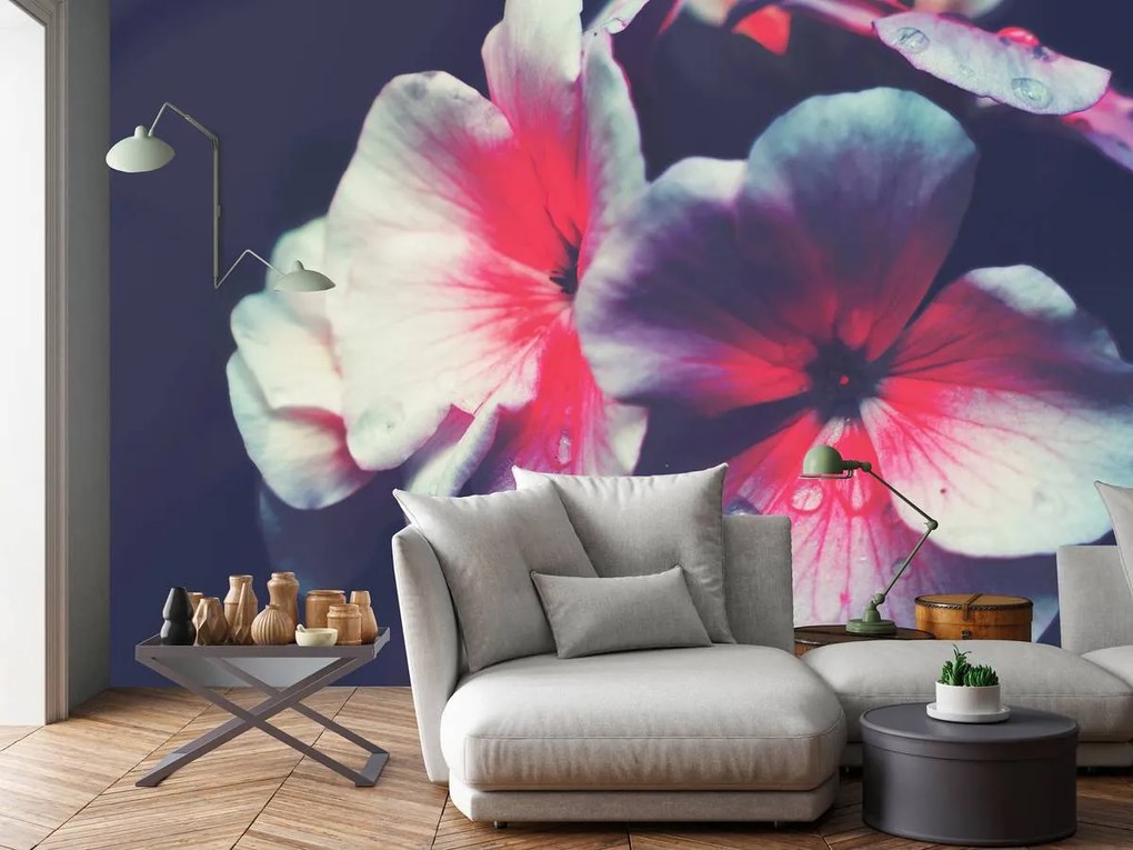 Fototapet - Flori (152,5x104 cm)