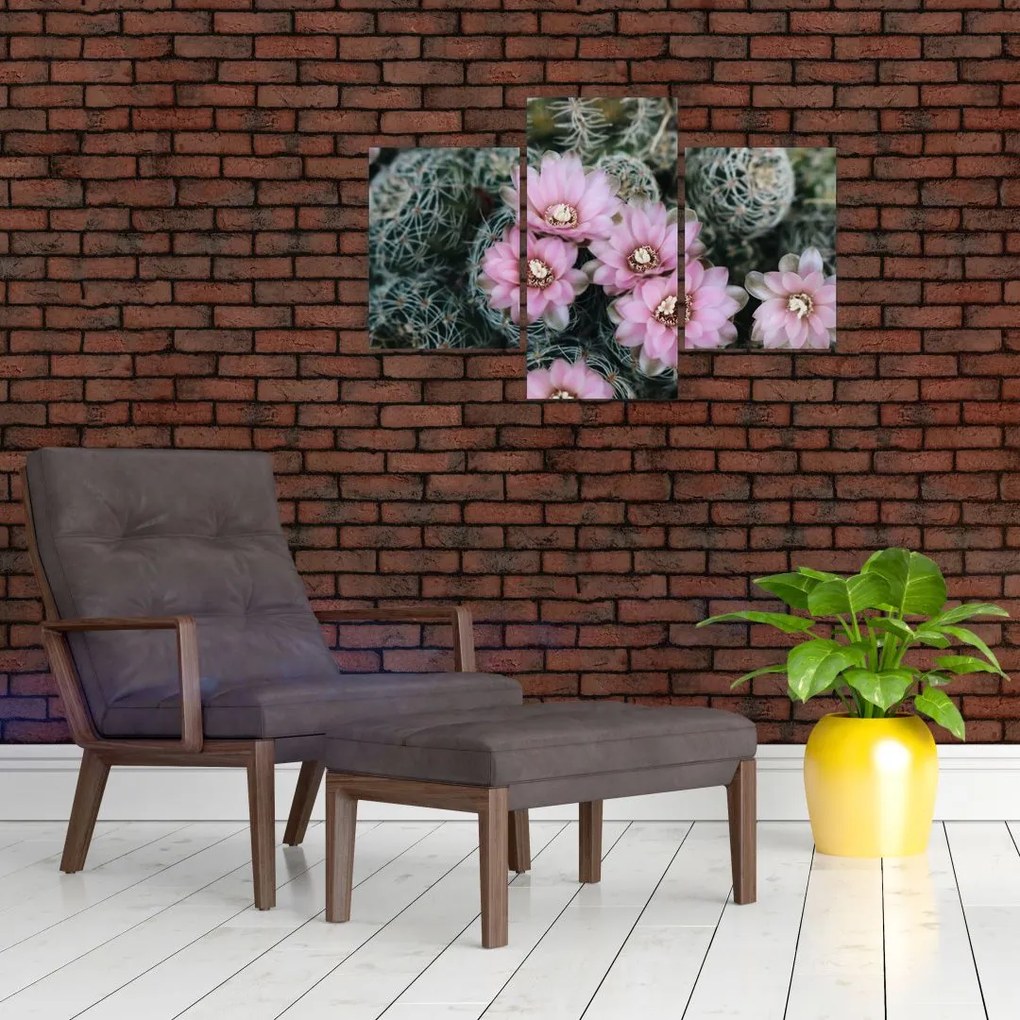 Tablou floare de cactus (90x60 cm)