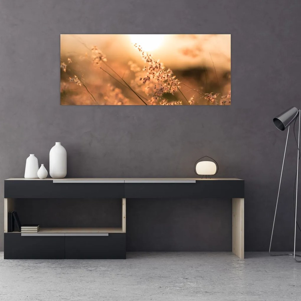 Tablou - Iarbă la soare (120x50 cm)
