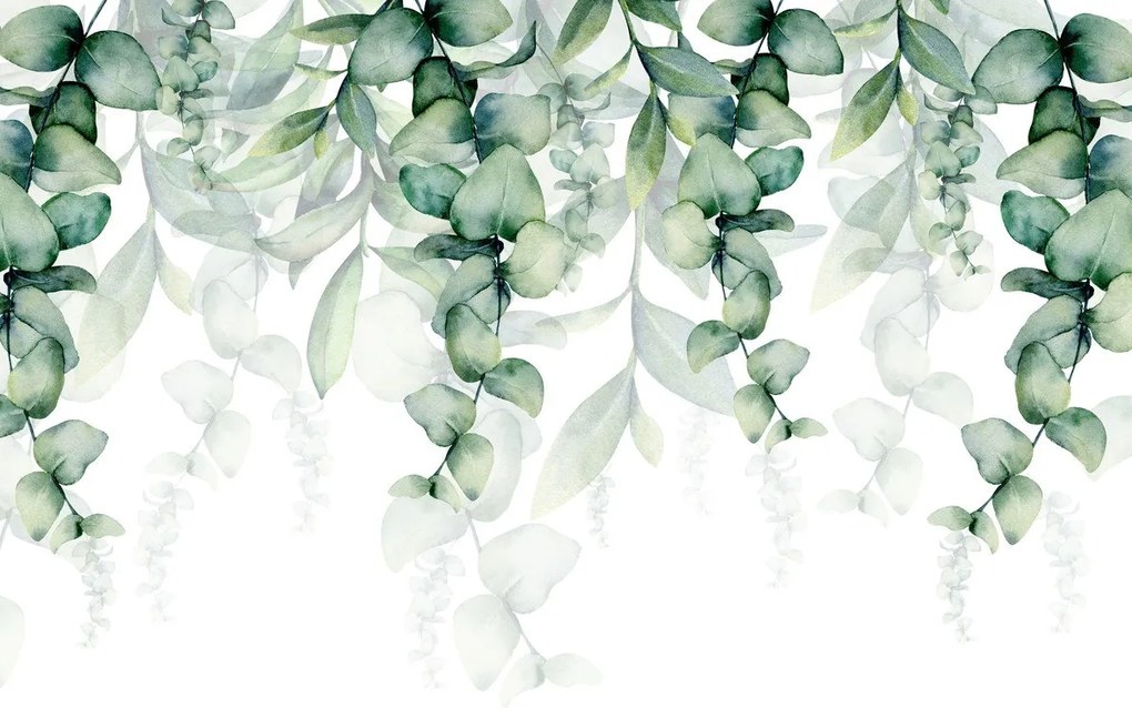 Fototapet - Plante cățărătoare (147x102 cm)