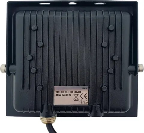 Proiector LED/30W/230V IP65