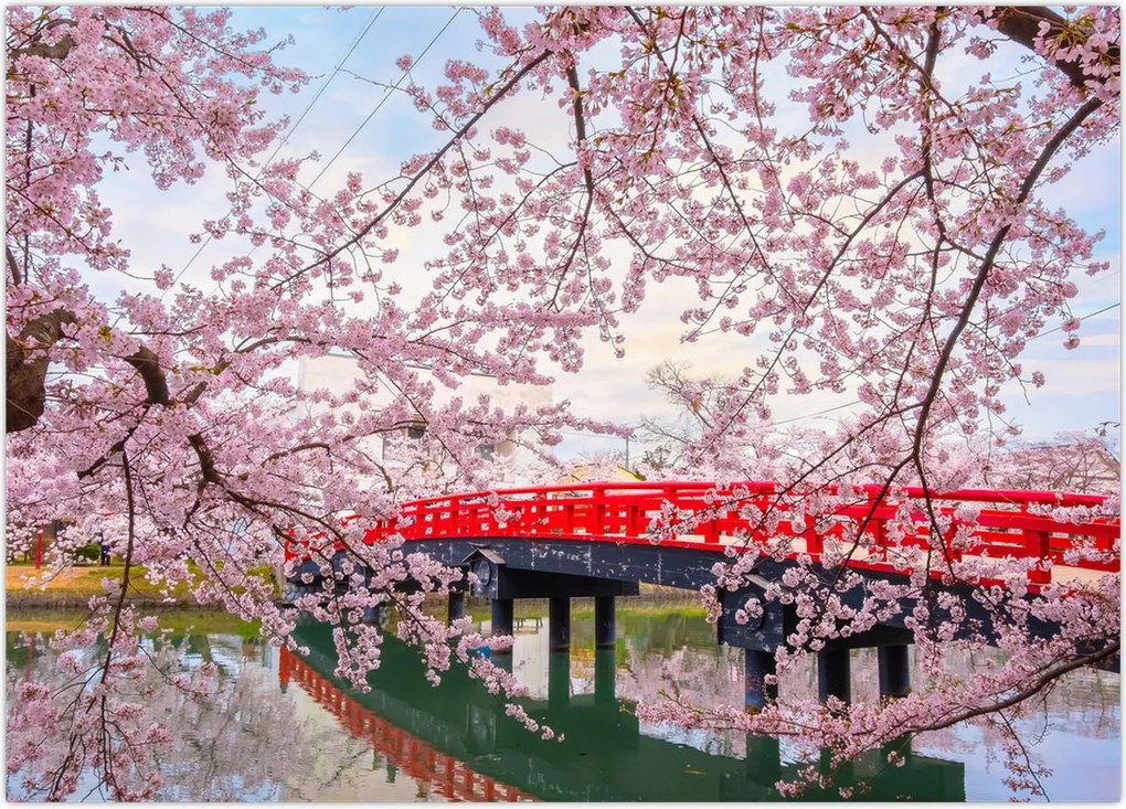 Tablou - Hirosaki, Japonia (70x50 cm)