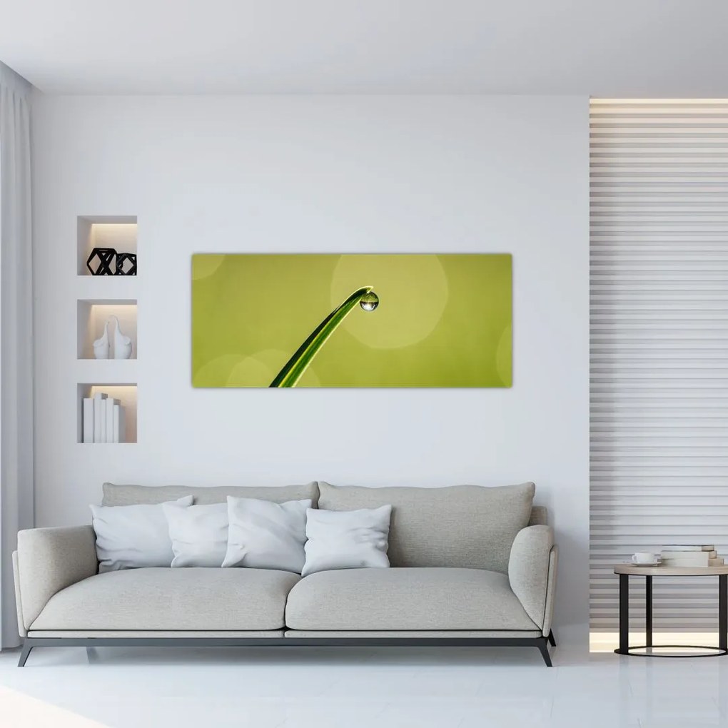Tablou cu picătură de apă pe iarbă (120x50 cm)