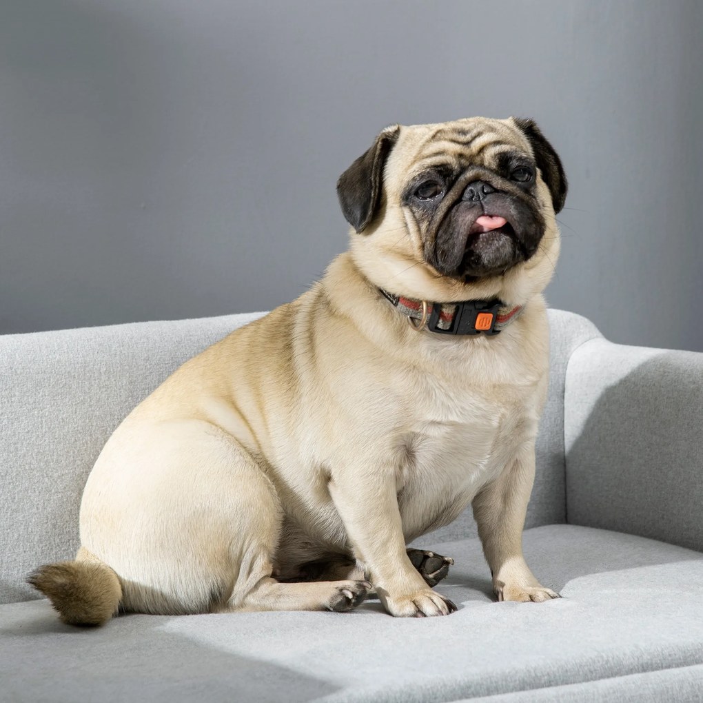 PawHut Canapea pentru Câini cu Pernă, Brațe și Spătar Gri Deschis | Aosom Romania