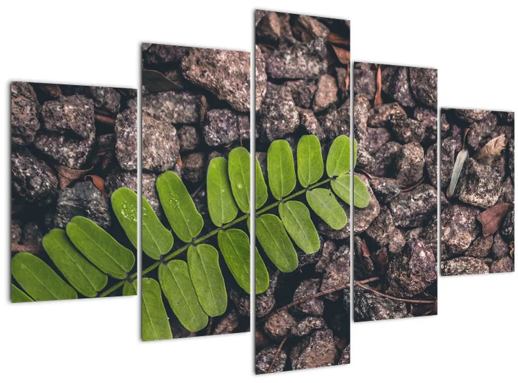 Tablou cu planta verde (150x105 cm)