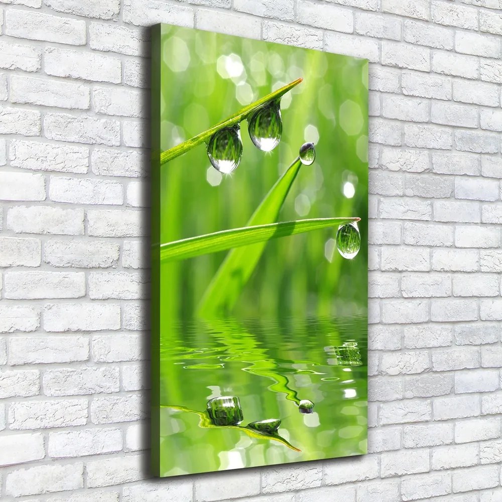 Print pe canvas Lame de iarbă