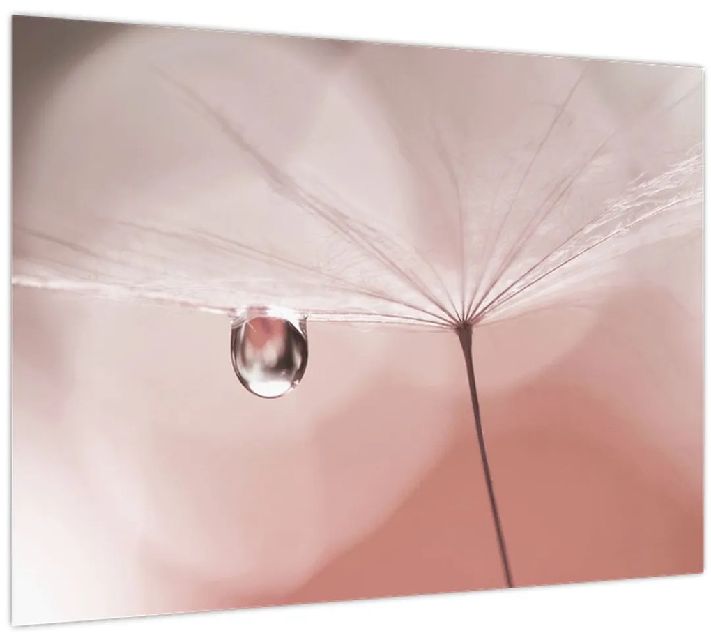 Tablou - O picătură de rouă (70x50 cm)