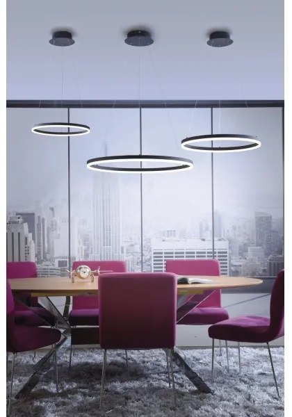 Lustră LED pe cablu dimabilă TITUS LED/28W/230V Paul Neuhaus 2381-13