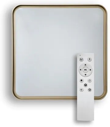 Plafonieră LED dimabilă UNA LED/60W/230V 2700-6500K + telecomandă