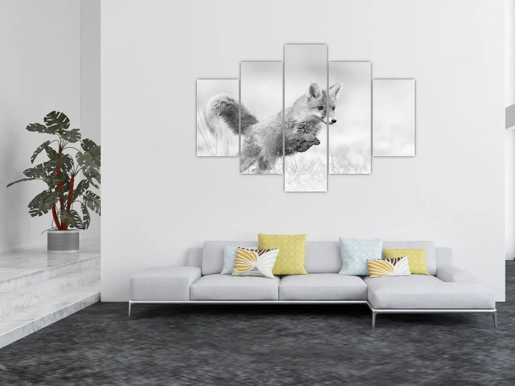 Tablou - Vulpe care sare,alb-negru (150x105 cm)