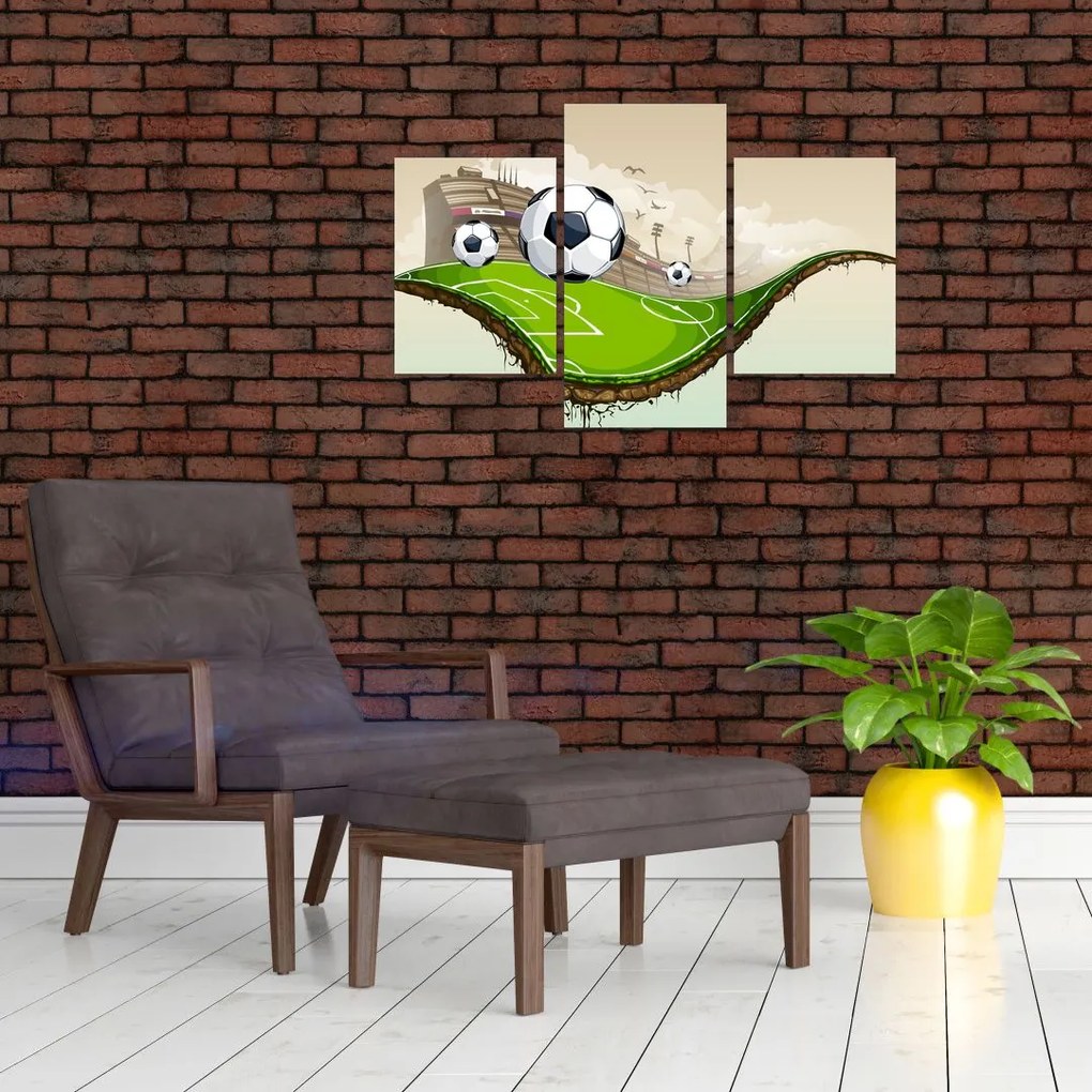 Tablou - Teren de fotbal (90x60 cm)