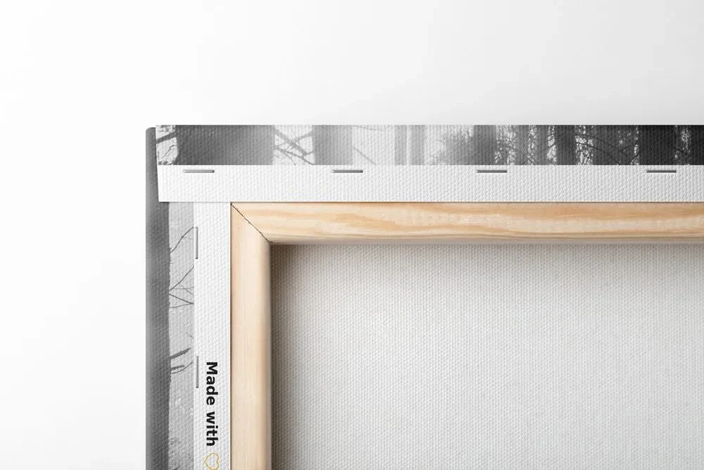 Tablou pădure luminată de soare în design alb-negru