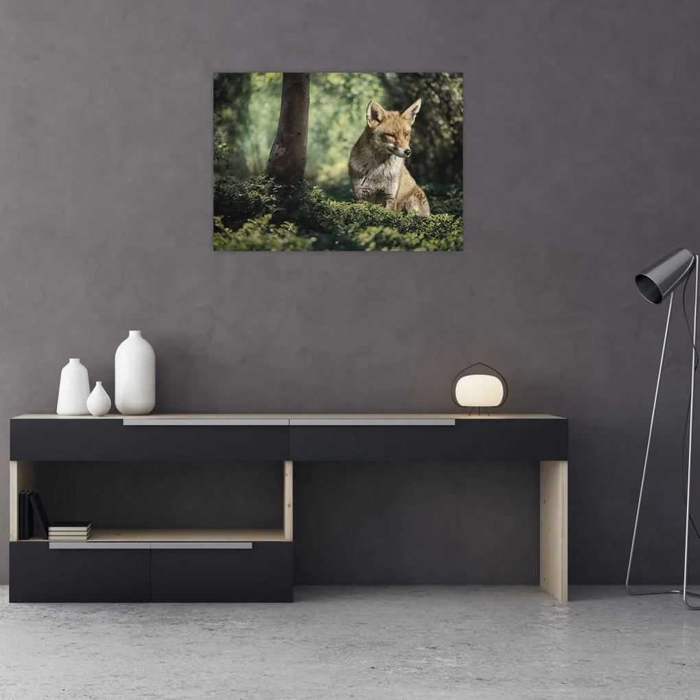 Tablou pe sticlă cu vulpe (70x50 cm)